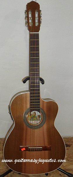 Guitarra Electroacústica de paloescrito con tapa de pinabete imagen 1
